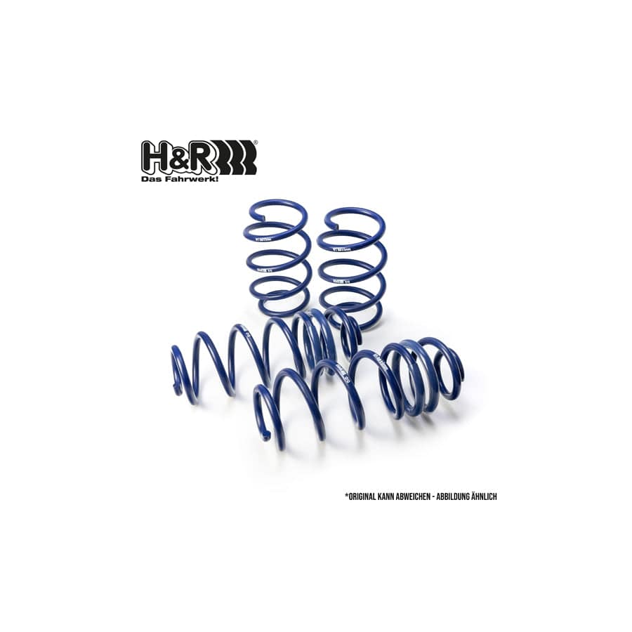 H&R 28620-1 Performance Lowering Springs