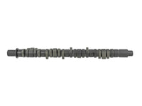 Skunk2 Racing Skunk2 Tuner Series D-Series Honda Stage 4 Camshaft
