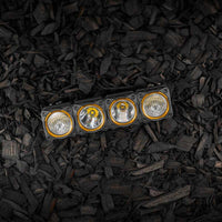 KC HiLiTES FLEX ERA LED Light Bar Bezel Kit for 10in. Segments - Gold