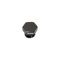Snow Performance Snow -6 ORB Plug Hex Style
