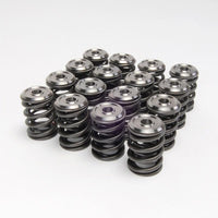 Skunk2 Racing Skunk2 Tuner Series Honda/Acura (H22A/F20B) DOHC VTEC Alpha Valve Spring Set (Dual Springs)