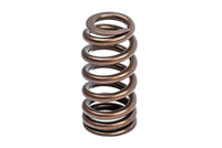 APR Audi/Bentley/Lamborghini/Porsche/Volkswagen Valve Spring Kit - Single