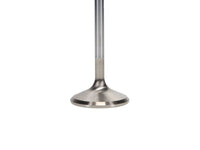 Manley Performance Manley Ford 4.6L Modular V8 Exhaust Valve Kit - 38.50mm Head Dia. 4.585in O/A Length, 0.2345in Stem