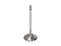 Manley Performance Manley Nissan 3.5L V6 (VQ35DE VQ35DET) DOHC 24 Intake 37mm Stainless Race Master Valves