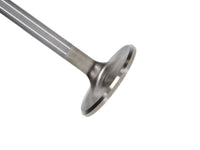 Manley Performance Manley VW Rabbit Stainless 40.5mm Race Master Intake Valves (Set of 4)