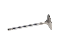 Manley Performance Manley Nissan 3.5L V6 (VQ35DE VQ35DET) DOHC 24 Intake 37mm Stainless Race Master Valves