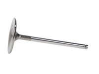Manley Performance Manley Chrysler Hemi 6.1L 2.100in B/L Race Flo Intake Valves (Set of 8)