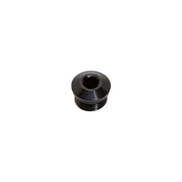 Snow Performance Snow -6 ORB Plug