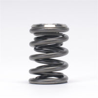 Skunk2 Racing Skunk2 Alpha Series Honda/Acura K Series Valve Spring and Titanium Retainer Kit