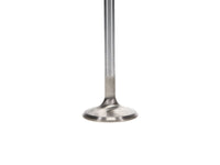 Manley Performance Manley up to 2010 Dodge Viper V-10 1.600 Dia Race Master Exhaust Valves (Set of 10)