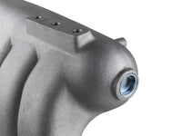 Skunk2 Racing Skunk2 Pro Series Mitsubishi Evo VII/VIII/IX Intake Manifold (Race Only)
