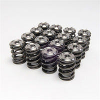 Skunk2 Racing Skunk2 Alpha Series Honda/Acura K Series Valve Spring and Titanium Retainer Kit