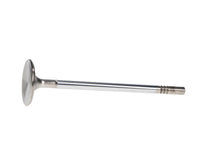 Manley Performance Manley Ford 4.6L DOHC (4 Valve) Triple Groove 37mm Race Master Intake Valves - Single