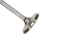 Manley Performance Manley Ford 4.6L 34mm Diameter 117.35mm Length Race Master Exhaust Valves (Set of 8)