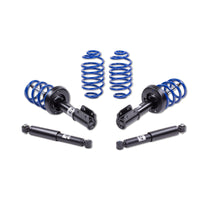 KW 21380020 VW Lowering Springs (GOLF III Convertible)