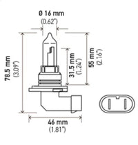 Hella 9005/HB3 12V 100W P20d T4 Halogen Bulb