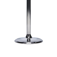 Manley Performance Manley SB Chevrolet LS7 Titanium Intake Valves 2.205 Head Dia 0.3135 Stem Dia - Set of 8