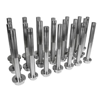 Yukon Gear & Axle Yukon Gear Bearing Race Driver Set / 21 Piece
