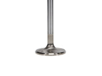 Manley Performance Manley VW Rabbit Stainless 40.5mm Race Master Intake Valves (Set of 4)