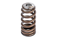 APR Audi/Bentley/Lamborghini/Porsche/Volkswagen Valve Spring Kit - Single