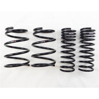 RS-R 13+ Subaru XV Crosstrek 2.0 NA (GP7) Down Sus Springs