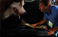 Husky Liners 09-12 Ford F-150 SuperCrew Cab Husky GearBox (w/o Factory Subwoofer)