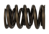 Ford Racing Replacement Hydraulic Roller Valve Spring - Single (For M-6049-SCJA)