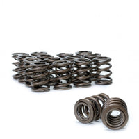 Skunk2 Racing Skunk2 Tuner Series Honda/Acura (H22A/F20B) DOHC VTEC Alpha Valve Spring Set (Dual Springs)