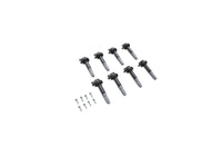 Ford Racing Boss 5.0L Block Plug & Dowel Kit