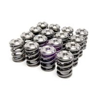 Skunk2 Racing Skunk2 Alpha Series Honda/Acura K Series Valve Spring and Titanium Retainer Kit