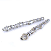 Skunk2 Racing Skunk2 Honda / Acura K20A/A2/Z1/Z3 & K24A2 2.0L DOHC BMF 2 VTEC Camshafts