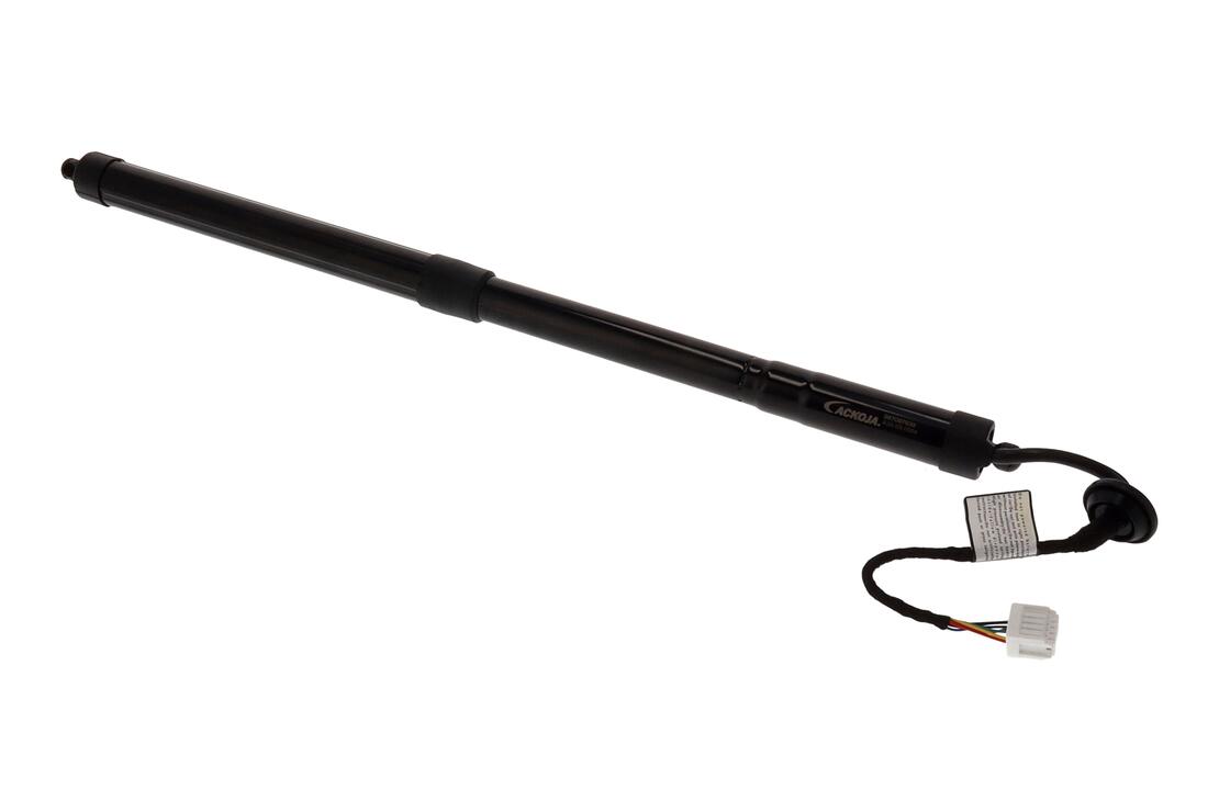 Ackoja A38550004 Electric Motor, Tailgate