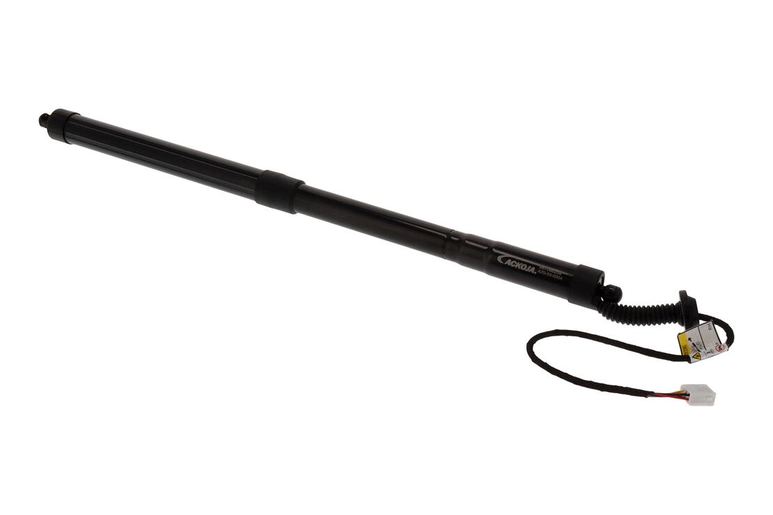 Ackoja A70550004 Electric Motor, Tailgate