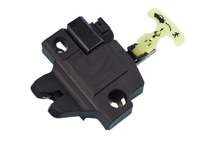 Ackoja A70850001 Tailgate Lock