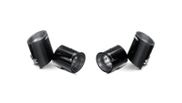Akrapovic BMW E82 1M Carbon Tail pipe set