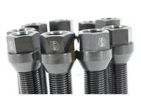 VTT M14/M12 Titanium Wheel Stud Kit
