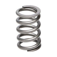 Manley Performance Manley Toyota Supra (2JZGT 2JZGTE 6 cyl) 24pc Valve Springs