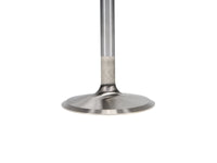 Manley Performance Manley Ford Boss 429 Stainless Steel Race Master Intake Valves 2.400 Head Dia 5.570 OA Lgt-Set of 8