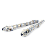 Skunk2 Racing Skunk2 Honda / Acura K20A/A2/Z1/Z3 & K24A2 2.0L DOHC BMF 2 VTEC Camshafts
