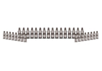 Ford Racing Ford GT and Mustang SVT 5.4L Lash Adjusters