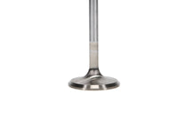 Manley Performance Manley Ford 4.6L 34mm Diameter 117.35mm Length Race Master Exhaust Valves (Set of 8)