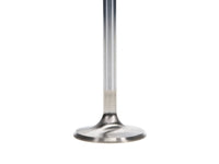 Manley Performance Manley Ford 4.6L DOHC (4 Valve) Triple Groove 37mm Race Master Intake Valves - Single
