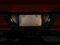 Raxiom 15-23 Ford F-150 Axial Series OEM Replacement License Plate Lamps