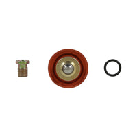 AEM Universal Fuel Pressure Regulator Rebuild Kit