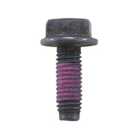 Yukon Gear & Axle Yukon Gear GM 7.25/7.6/8.0/8.6/9.25/9.5/14T/11.5 M8 x 1.25mm Cover Bolt