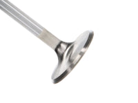 Manley Performance Manley Ford 4.6L DOHC (4 Valve) Triple Groove 37mm Race Master Intake Valves - Single