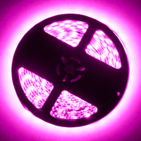 ORACLE Lighting Oracle Interior Flex LED Spool - Pink
