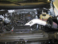 K&N Engineering K&N 11 Ford F150 5.0L V8 F/I High Flow Performance Intake Kit