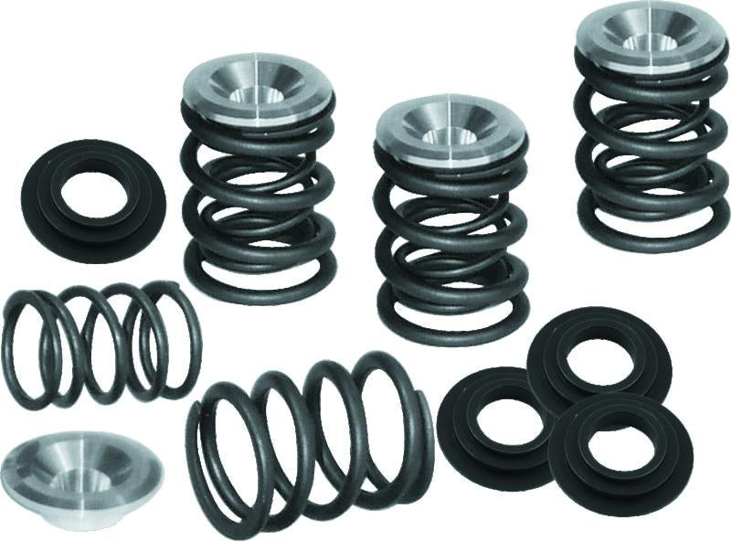 S&S Cycle 48-84 BT Dual Valve Spring Kit - .550in