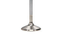 Manley Performance Manley Nissan GT-R 3.8L (VR38DETT) DOHC 37.15mm Race Master Intake Valves (Set of 24)